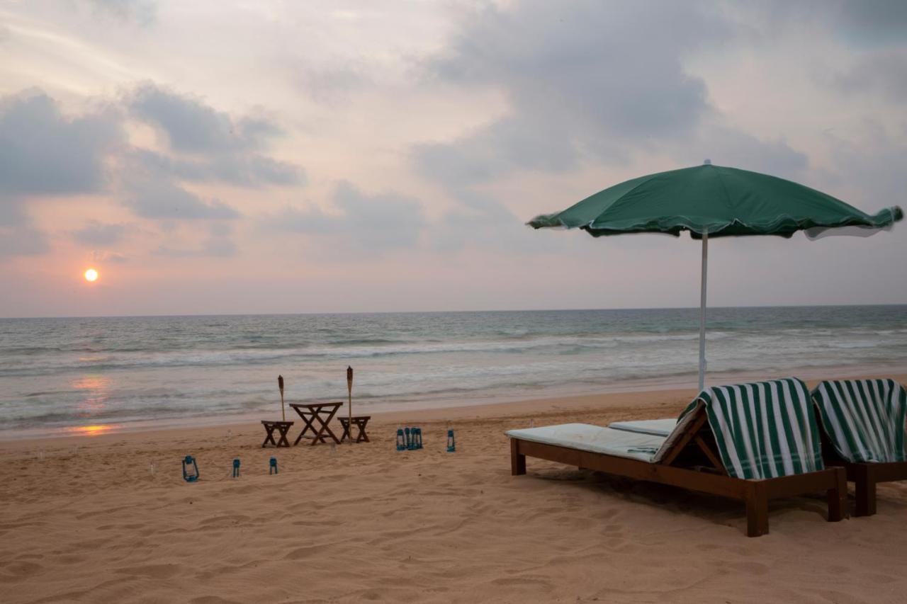 Palm Beach Inn&Sea Shells Cabanas Bentota Exterior foto