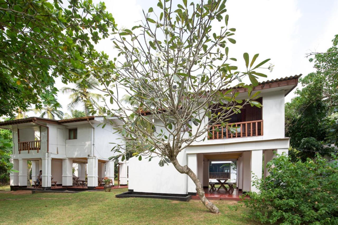 Palm Beach Inn&Sea Shells Cabanas Bentota Exterior foto
